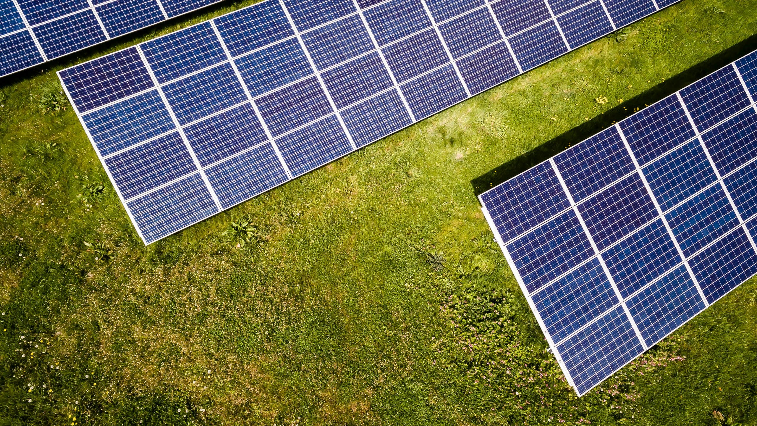 Community Solar FAQs