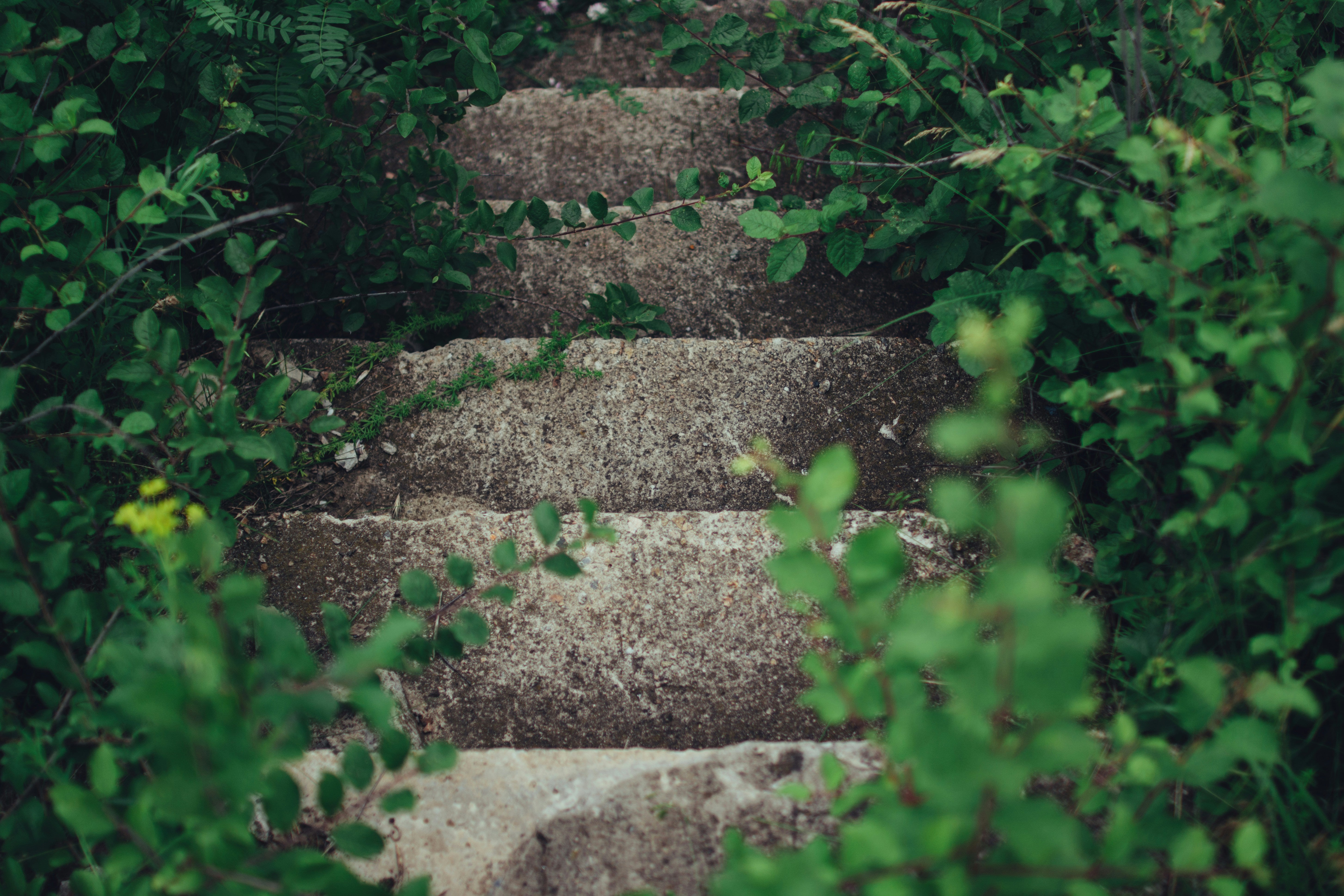 step list