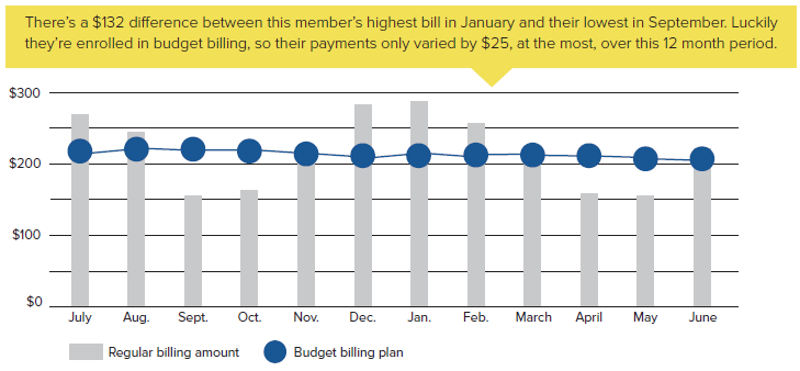 budget biling