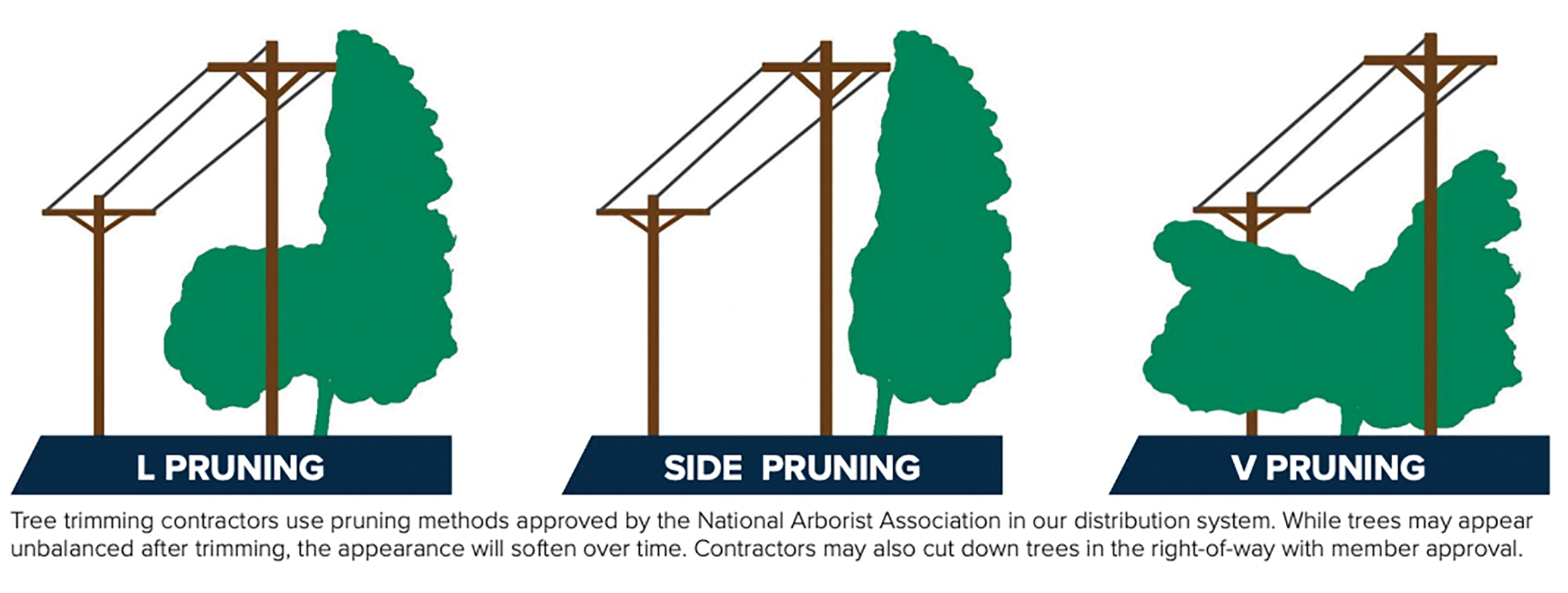 tree trimming example