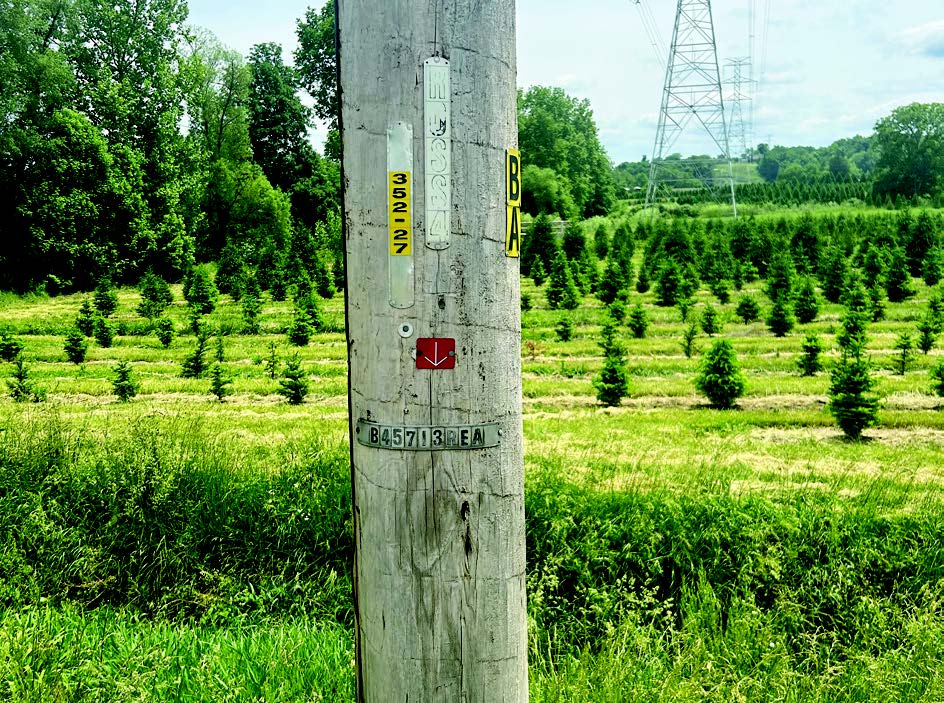 utility pole