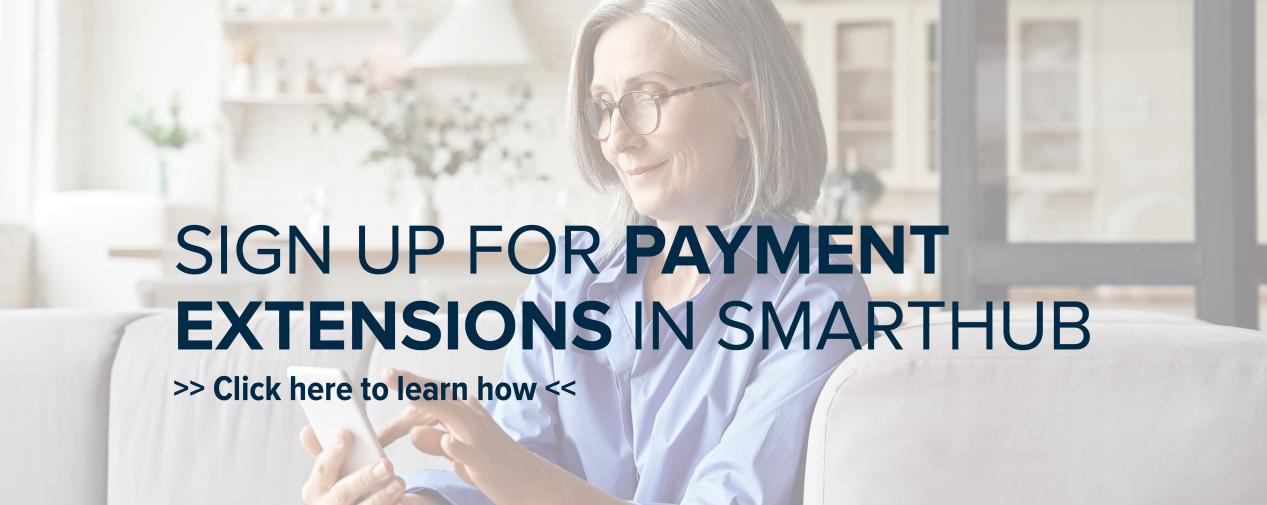 Payment Extensions
